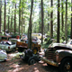 Illustration for article titled Massive Secret Mustang Junkyard Found In Rhode Island Forest